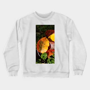 Fall colors Crewneck Sweatshirt